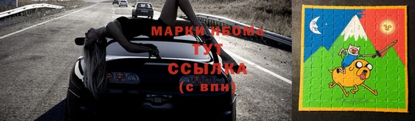 тгк Бородино