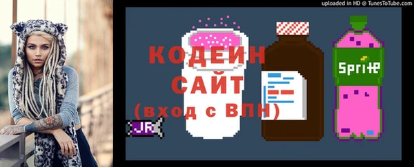 тгк Бородино