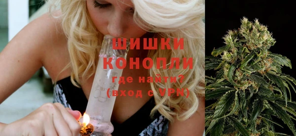 тгк Бородино
