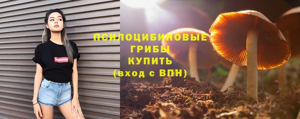 тгк Бородино