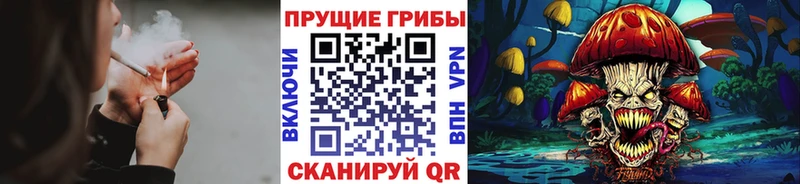 Галлюциногенные грибы Psilocybine cubensis  Калуга 